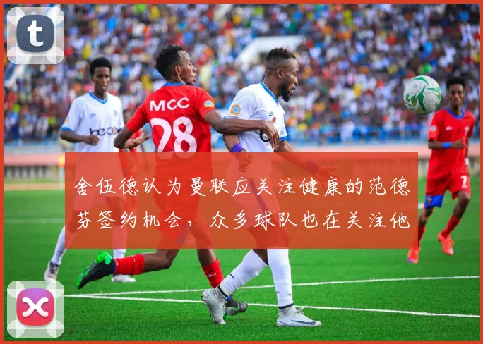 舍伍德认为曼联应关注健康的范德芬签约机会，众多球队也在关注他
